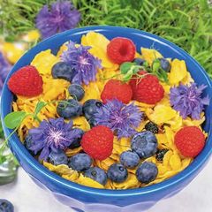 (E) Edible Flowers Cornflower Blue seeds 1g (447842)