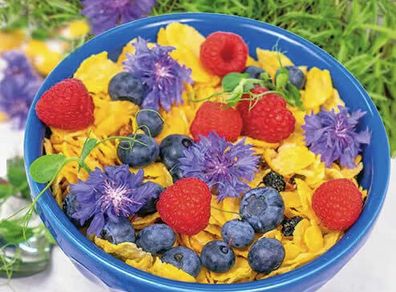 (E) Edible Flowers Cornflower Blue seeds 1g (447842)