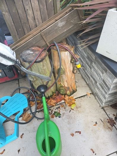 fire wood