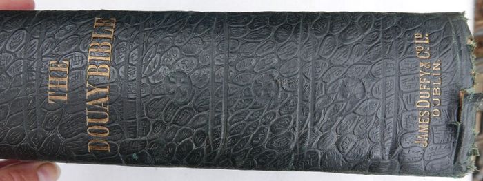 Vintage spine of a Catholic Douay Bible published by James Duffy & Co. Ltd. in Dublin.