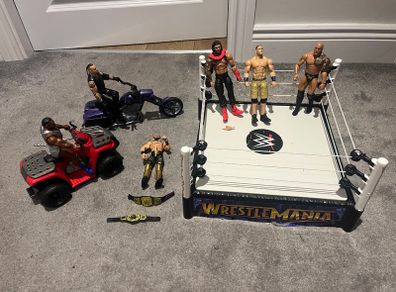 Wrestle toys