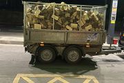 firewood for sale