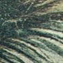 Framed Quintessa Art Print - "Sea Rush" 512 A.D. Vienna Dioscurides Manuscript Image 8
