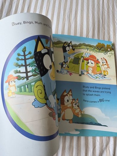 Bluey kids book bundle