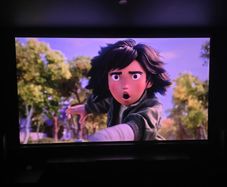 120 Inch WUPRO Motorized Tension Floor Rising Projector Screen