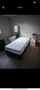NEW single bed + base.