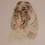 Custom Pet Bespoke Portraits Image 3
