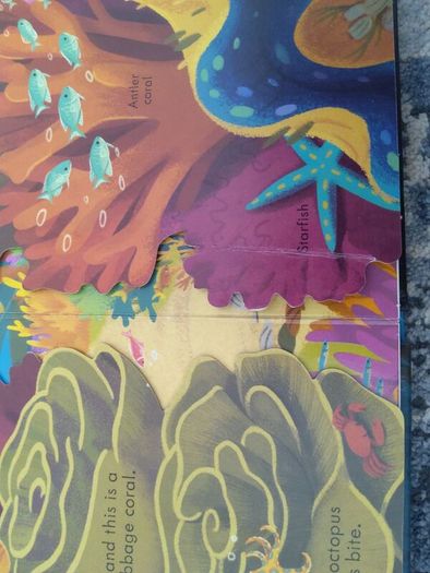 Usborne Look Inside Sea and Oceans