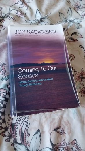 Jon Kabat-Zinn - Coming to Our Senses Meditation,  Spirituality