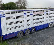 Pezzaioli Livestock trailer