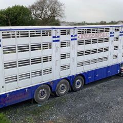 Pezzaioli Livestock trailer