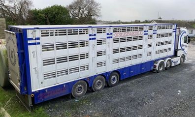 Pezzaioli Livestock trailer