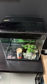 fish tank