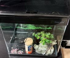 fish tank