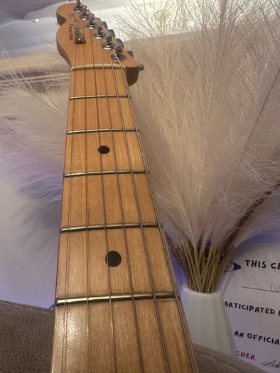 Lefty 2002 fender mim telecaster