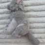 Our Generation Battat Gray Kitten Kitty Cat approx. 16 cm. Used Please see photos Image 6