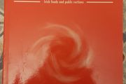 Pulp Friction: Irish Fueds And Public Ructions by Damian Corless