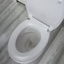 toilet Image 3