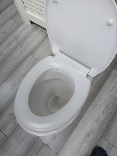 toilet