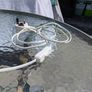 Table lamp. Works perfect good condition no marks or scratches Image 4
