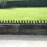 Box Hedging Image 5