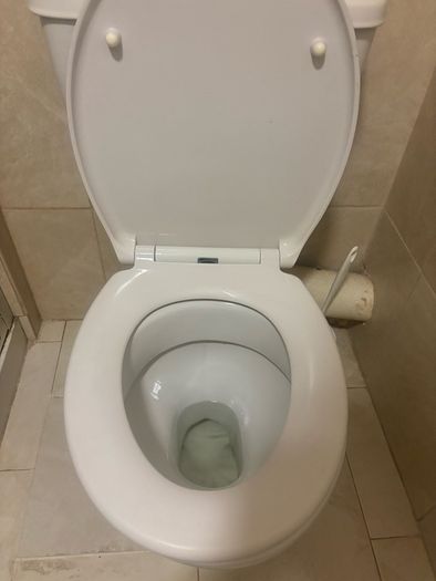 White Toilet