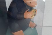 New collectable money box fantastic beasts