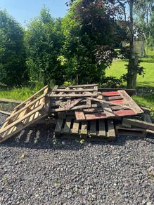 Free Timber