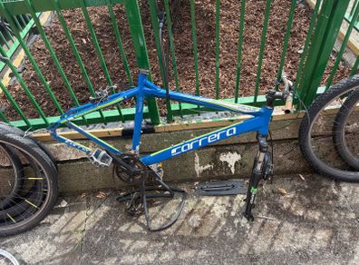 bikes
