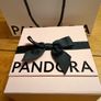 Pandora charm Image 2