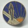 Conradh na Gaelige badge Image 4