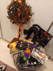 halloween bundle