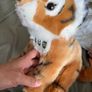 Dublin Zoo Tiger -soft toy Image 2