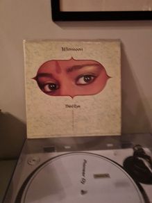 Monsoon vinyl