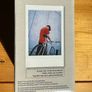 Instax mini 41: unopened "polaroid" camera Image 6