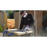 Draper Tools Brushless Circular Saw Bare D20 20V Image 4