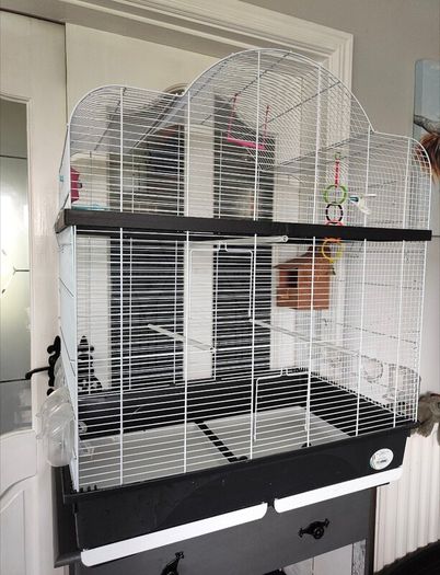 Large bird cage