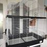 Large bird cage Image 2