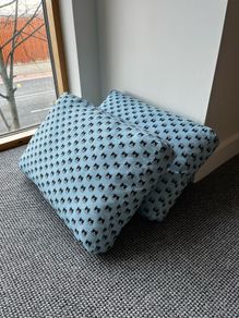 Cushions x 2
