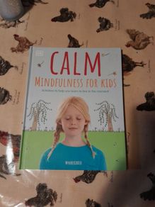 Mindfulness book