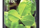 2007 Ireland St Patrick's Day Commemorative Stamp Mint Never Hinged (MNH)