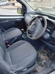 Citreon nemo