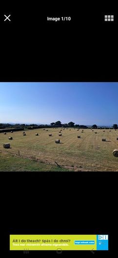 Round and square bales of hay for sale