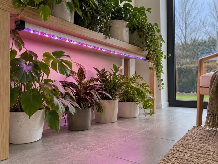 Plant Grow Lights