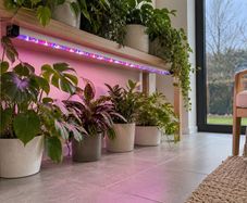 Plant Grow Lights