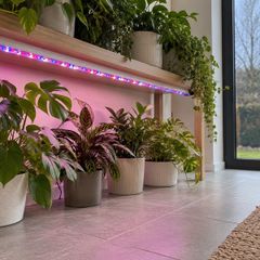 Plant Grow Lights