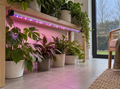 Plant Grow Lights