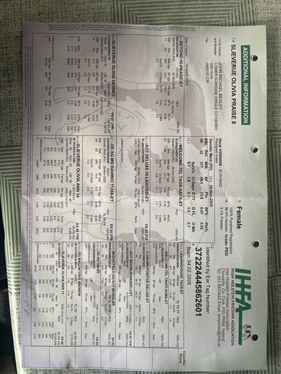 Six  Pedigree Registered Holstein Friesian Calves