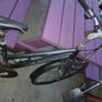 Bike Image 4