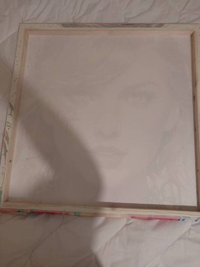 Taylor Swift Framed Pictures